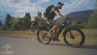 Thumbnail: Building a Dog Box for a Bike