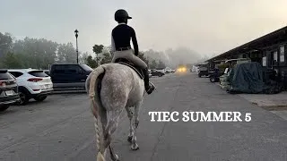 Thumbnail: TIEC Summer 5 horse show vlog!