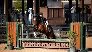 Thumbnail: First show with my new horse!