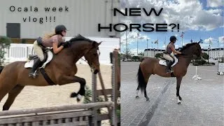 Thumbnail: New horse?! My week horse shopping in WEC!