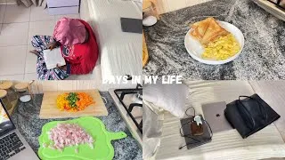 Thumbnail: Days in my life|| living alone diaries||living alone in Nigeria🇳🇬