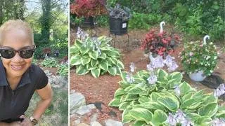 Thumbnail: July New England Garden Walkabout. Spectacular Perennials in CT Zone 6b #LifeonGreenwood #gardening