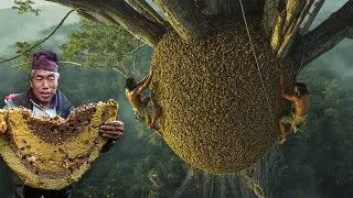 Thumbnail: THE DANGEROUS LIFE OF THE COLLECTORS OF THE WORLD’S RAREST HONEY – TUALANG HONEY