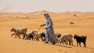Thumbnail: THE BEDOUINS LIVE IN THE DRIEST DESERT ON EARTH, FACING EXTREME HEAT AND NO RAIN