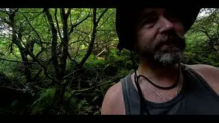 Thumbnail: The call of the wild and the hill ( i am really bad a titles 😀)