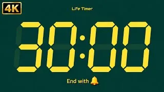 Thumbnail: 30 Minute Countdown Timer ⏱️ | 4K Digital Timer | End with Alarm 🔔