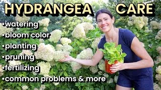 Thumbnail: Hydrangea Plant Care 101: How to Grow, Plant, Water, Prune, Soil Location, Blooms & More