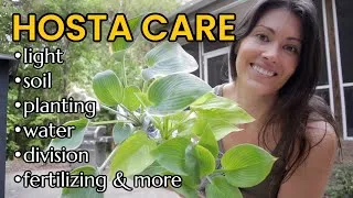 Thumbnail: Hosta Plant Care 101: How to Plant, Grow and Care for Hostas | Light, Water, Soil, Divide, & More