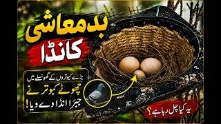 Thumbnail: Ab iske sat kia kare? | Life With Hamza | New Vlog