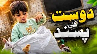 Thumbnail: Dost Ne Pasand Kiya Lena To Parega | Life With Hamza | New vlog