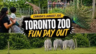 Thumbnail: Fun Day at Toronto Zoo | Visit to Canada's Largest Zoo 🦒