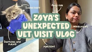 Thumbnail: Rushed My Kitten to the Vet 😭💉| Zoya’s Unexpected Vet Vlog