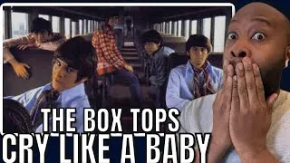 Thumbnail: First Time Hearing | The Box Tops - Cry Like A Baby Reaction 