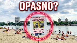 Thumbnail: Plaža Lido i Veliko ratno ostrvo | Skriveni raj Beograda 4K