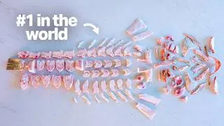 Thumbnail: The #1 Fish Restaurant in the World