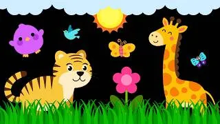 Thumbnail: Baby Sensory Video – Newborn Visual Stimulation – Sensory Videos for Babies - Tummy Time #baby