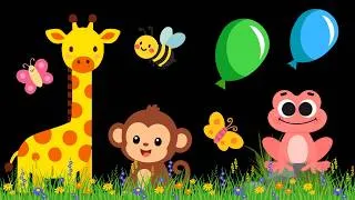 Thumbnail: Baby Sensory Video - High contrast - Sensory Videos for Babies - Visual Stimulation for Newborn