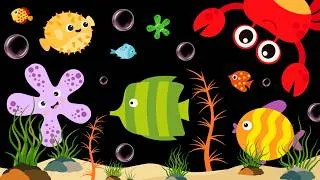 Thumbnail: Baby Sensory Video - High contrast - Sensory Videos for Babies - Visual Stimulation for Newborn