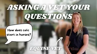 Thumbnail: Asking an equine vet YOUR questions... a must watch for ALL equestrians