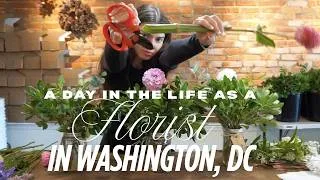 Thumbnail: A day in the life as a Florist in Washington, DC
