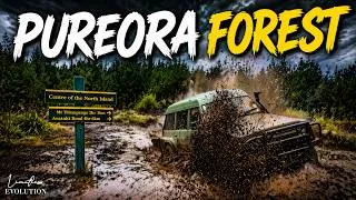 Thumbnail: NZ Offroad Adventure | Exploring Pureora Forest & Finding the Giant Tree