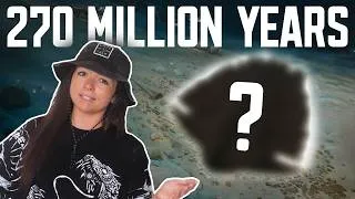 Thumbnail: The Most Successful Animal to Ever Exist? | Lindsay Nikole
