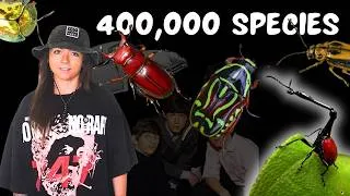 Thumbnail: Why are there so many beetles? (That We Know Of) | Lindsay Nikole