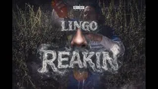 Thumbnail: Lingo - Reakin 👃