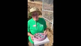 Thumbnail: Coatimundi Enrichment | Lions Tigers & Bears - The San Diego Animal Sanctuary®