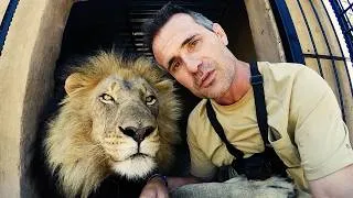 Thumbnail: LION MAN Has Unbreakable Bonds with LIONS, Leopards and Hyenas! | The Lion Whisperer