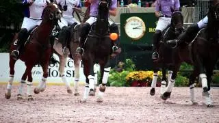 Thumbnail: CENTRAL PARK HORSE SHOW