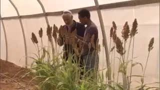 Thumbnail: 1 AFHU FEEDING THE FUTURE