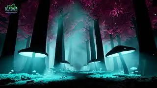 Thumbnail: Drum & Bass 2026 - [𝒷𝒾𝑜𝓁𝓊𝓂𝒾𝓃𝑒𝓈𝒸𝑒𝓃𝓉 𝒢𝓇𝑜𝓋𝑒] - Deep Liquid Atmospheric DnB Continuous Mix 🎧