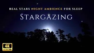 Thumbnail: Soothing Night Ambience With Real Stars For Relaxing Sleep | Not AI | Crickets and Calming Nature