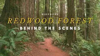 Thumbnail: Redwood Forest Hike: Behind the scenes
