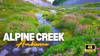 Thumbnail: Calming Mountain Creeks of Mt Rainier | Spring Flowers | 4k Nature Ambience | Sleep Meditation Study