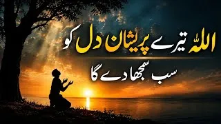 Thumbnail: ALLAH Tere Pareshan Dil Ko Sab Samjha Dega | Beautiful Spiritual Quotes | Listen the Islam Q.K