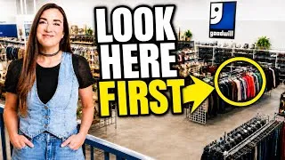 Thumbnail: How I Quickly Make $250 In ANY Thrift Store
