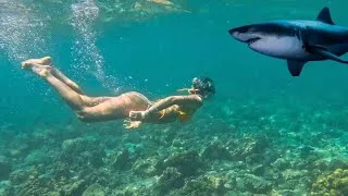 Thumbnail: SHARKS and Stunning Scenery! Phi Phi Island Boat Trip 🦈🏝️