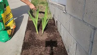 Thumbnail: Clearing Weeds and Beautifying  I  Slow Living  I  Silent Vlog