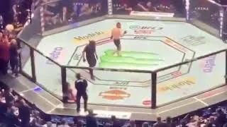 Thumbnail: Khabib V McGregor post fight chaos from a wide angle.