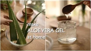 Thumbnail: 2 ways to make pure organic aloe vera gel at home and preserve for months.