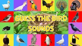 Thumbnail: Guess The Bird Sounds For Kids | Learn 21 Amazing Bird Sounds! 🎶