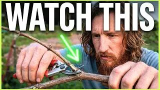 Thumbnail: What Most Grape Growers Mess Up Every Year