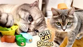 Thumbnail: FUNNY CATS - CUTE LITTLE KITTEN ADVENTURE - FUN REAL CAT FISHING WITH DAD! 🎣🐾#40