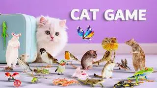 Thumbnail: CAT GAMES | Ultimate 3D Game for Cats to Watch – Best CAT TV Compilation ! 😻 4K60FPS