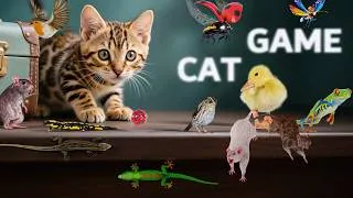 Thumbnail: CAT GAMES | 3D GAME FOR CATS | BEST CAT VIDEOS for CATS to Watch | 3 HOURS