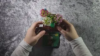Thumbnail: Building Hydrageas | ASMR, off-brand Lego, No Talking