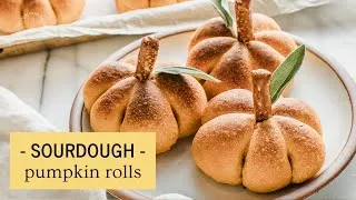 Thumbnail: Sourdough Pumpkin Shaped Dinner Rolls with Little Spoon Farm