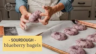 Thumbnail: The BEST and EASIEST Sourdough Blueberry Bagels | Little Spoon Farm